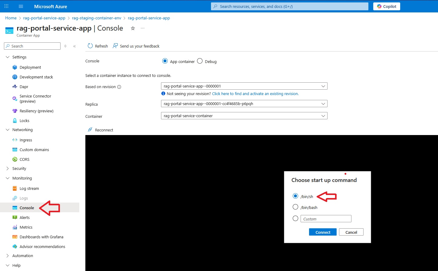Open console to test connectivity